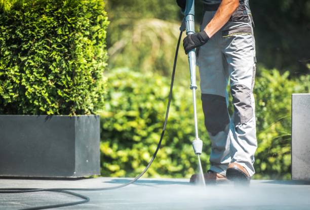 Best Sidewalk and Walkway Cleaning  in Greenwood, PA